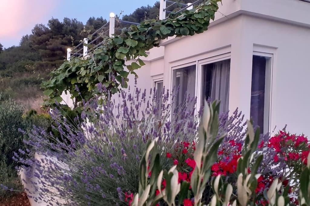 Vis - Luxury Holiday Villa With Swimming Pool Eksteriør billede